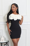 CHIC BABE TUBE ROSE DETAILING DRESS (BLACK/WHITE)
