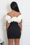 CHIC BABE TUBE ROSE DETAILING DRESS (BLACK/WHITE)