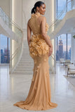ELEGANT HIGH NECK FLORAL MESH BEIGE MAXI DRESS