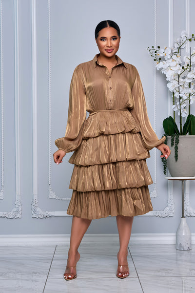 COLLAR BUTTON DOWN TIERED RUFFLE ORGANZA DRESS (BROWN)