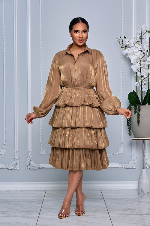 COLLAR BUTTON DOWN TIERED RUFFLE ORGANZA DRESS (BROWN)