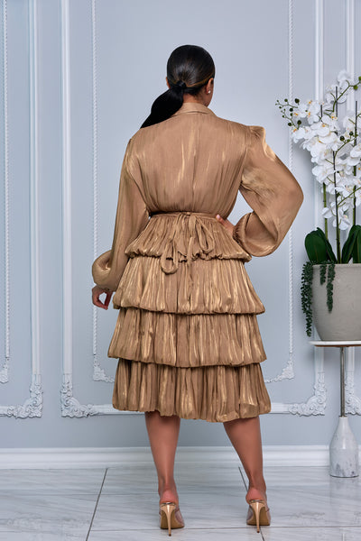 COLLAR BUTTON DOWN TIERED RUFFLE ORGANZA DRESS (BROWN)